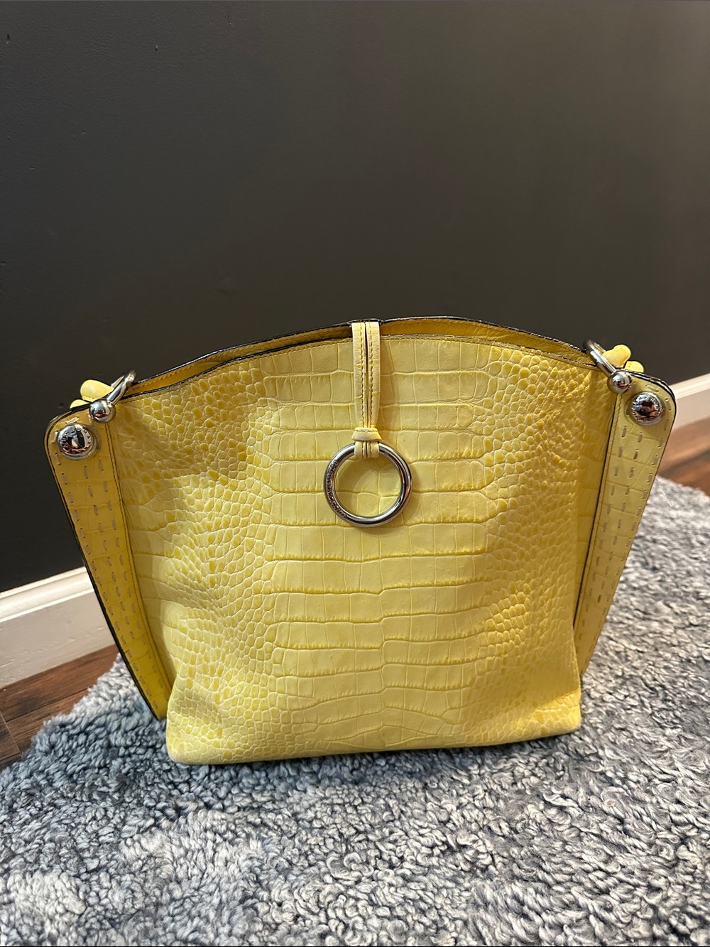 Used great condition bag